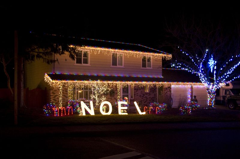 Holiday Lighting Installation